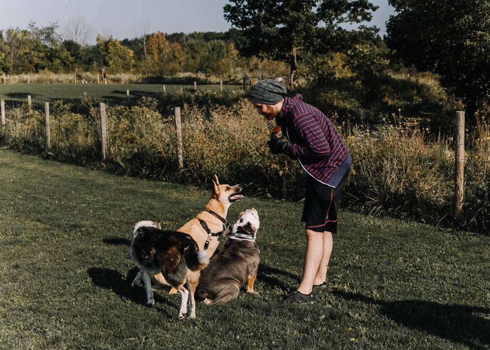 man standing with three dogs